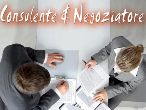 Consulente e Negoziatore